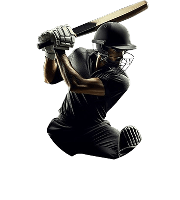Cricket